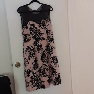 En focus beautiful look